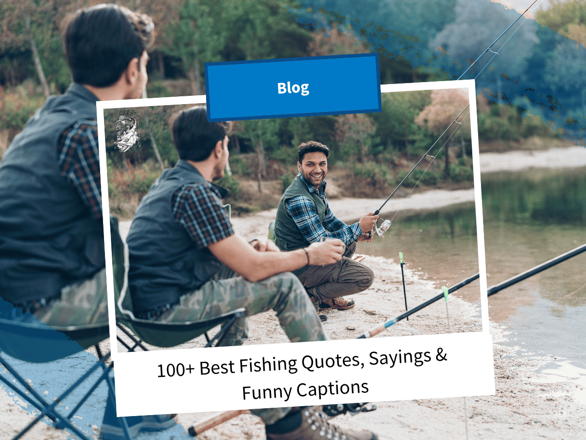 reel shimano ultegra 2500 FC Spinning Complete kits Size or Variant:80 2 Speed ALT8000a Reel Blue/Silver The different sizes offered Standard Kit Chasing CanFish