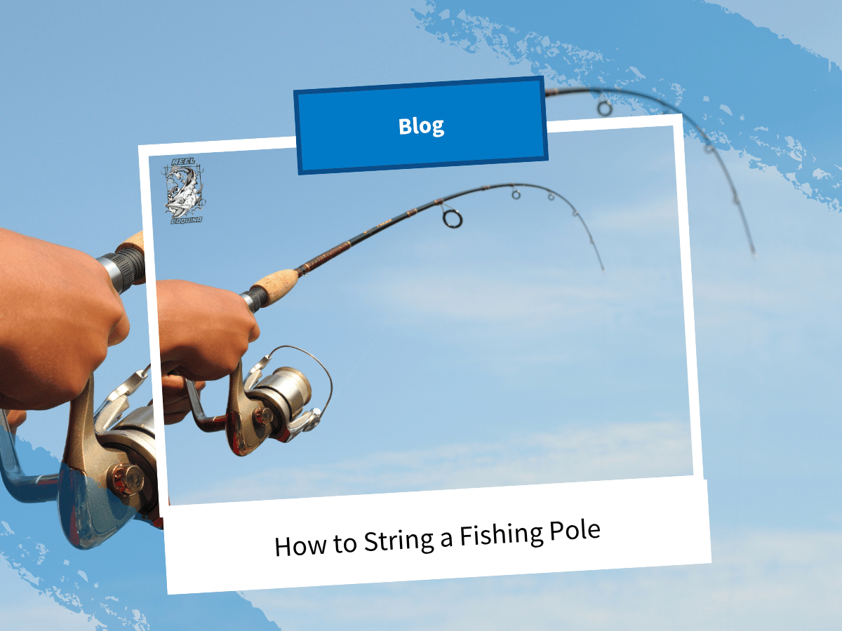 String a Fishing Pole: Easy Steps for a Perfect Setup String a Fishing Pole: Easy Steps for a Perfect Setup