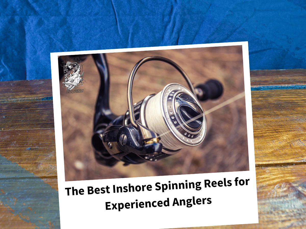 best inshore fishing reels 2017 Daiwa Spinning Reel (Tosing/Long Casting) 17 Fine Surf 35 Hosoito (2017 Model) Sports & Outdoors Our recrafted Offshore Angler Inshore Extreme Baitcast Reel is exceptionally light and compact The Best Inshore Spinning Reels