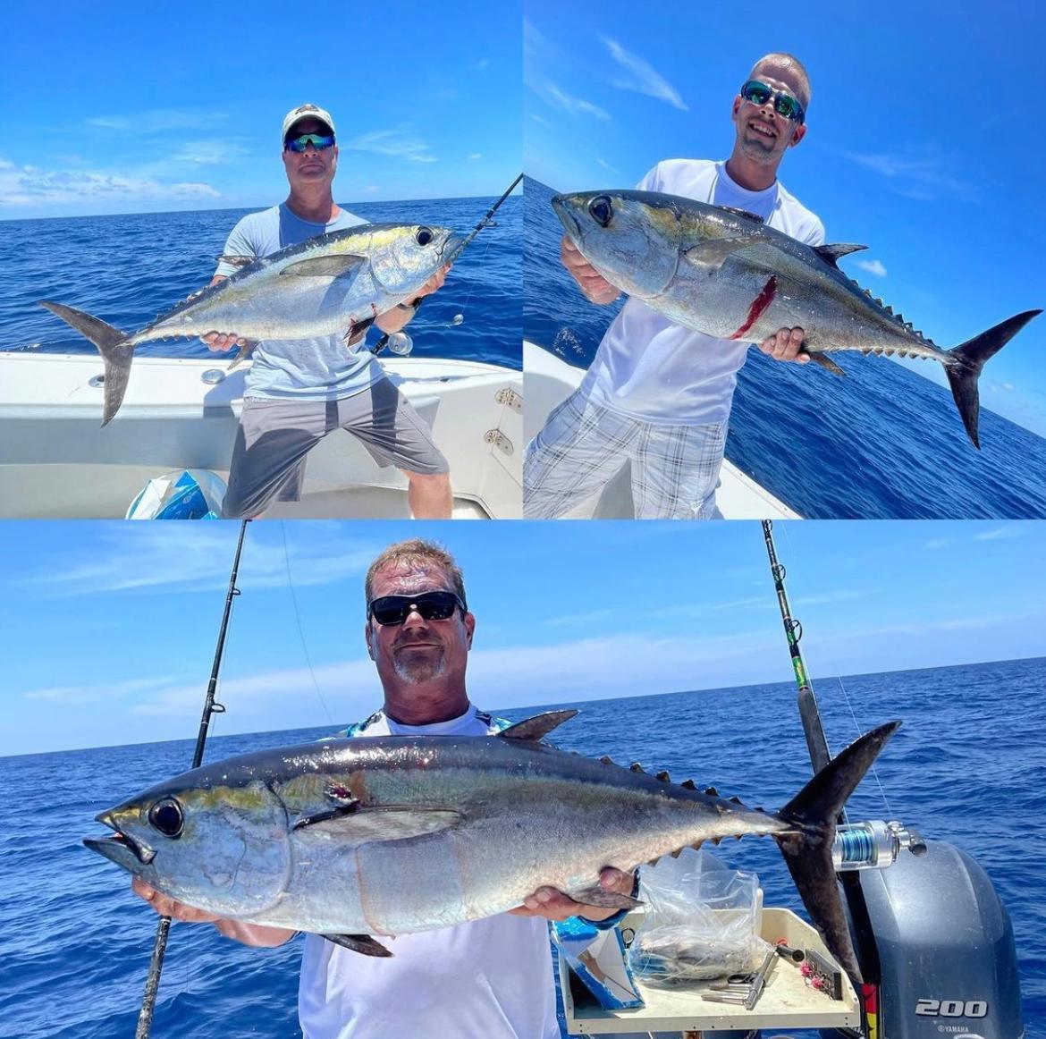 How to Catch Blackfin Tuna