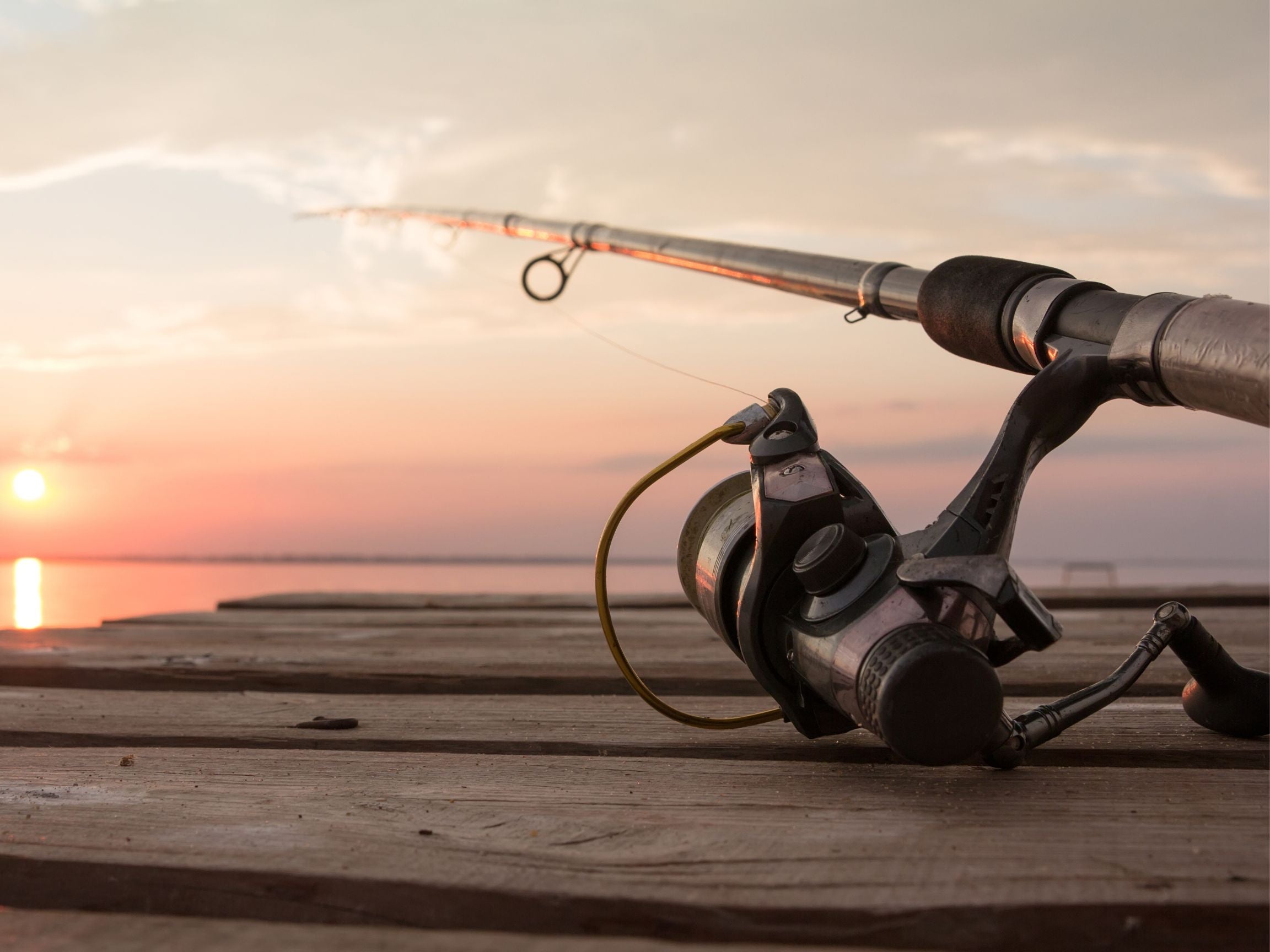 How to Fix a Broken Fishing Rod StepbyStep Guide