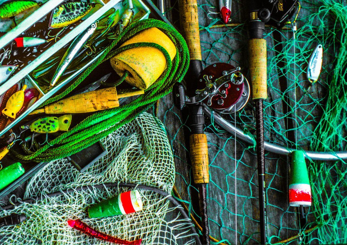 best match fishing reel The 4 Best Fishing Reels of 2026