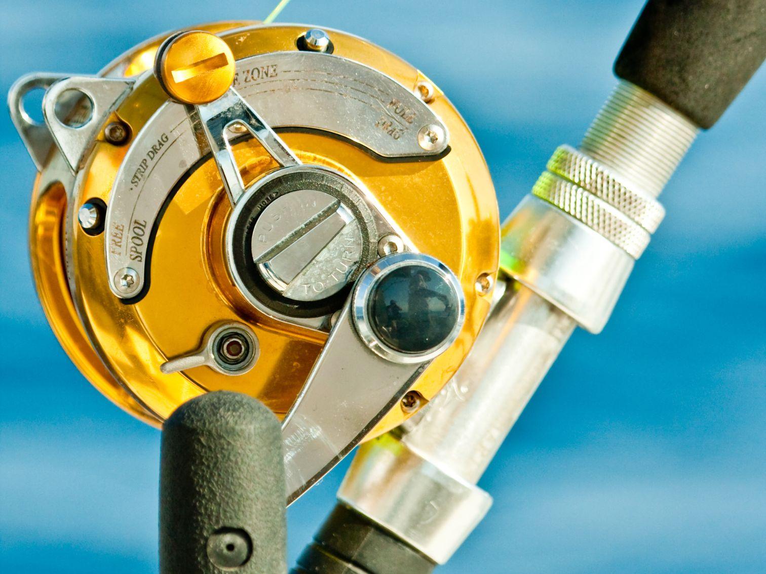 Understanding Drag in Fishing Reels Types & Setup Tips