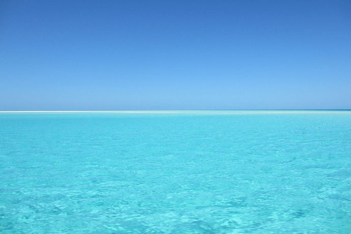 5 Ways to Keep the Ocean Clean