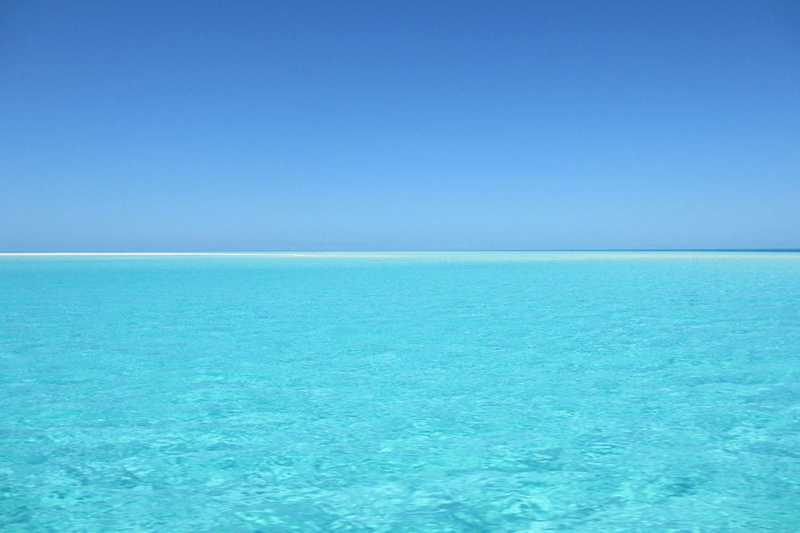 5 Ways to Keep the Ocean Clean