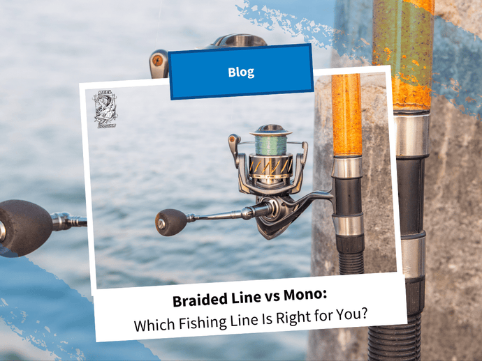 Braided Line vs Mono: Which Fishing Line Is Right for You? Braided Line vs Mono: Which Fishing Line Is Right for You?