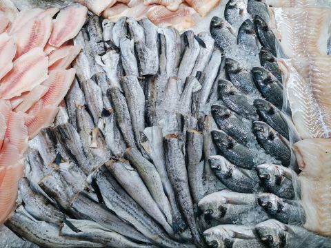 Cod vs Pollock
