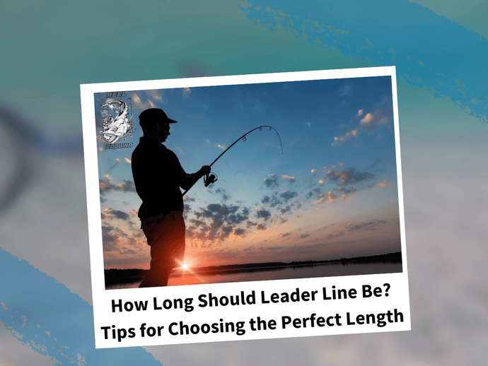 How Long Should Leader Line Be? Tips for Choosing the Perfect Length