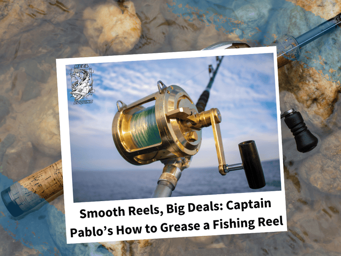 Smooth Reels, Big Deals: Captain Pablo’s How to Grease a Fishing Reel