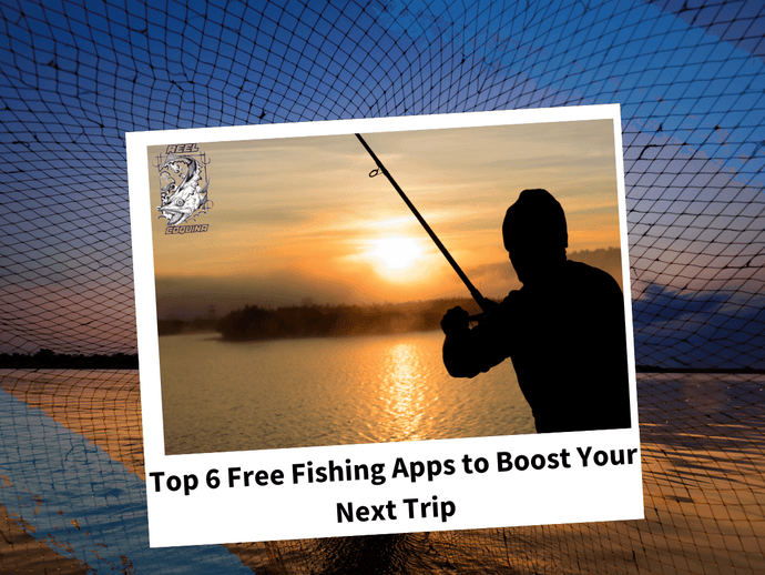 Top 6 Free Fishing Apps to Boost Your Next Trip