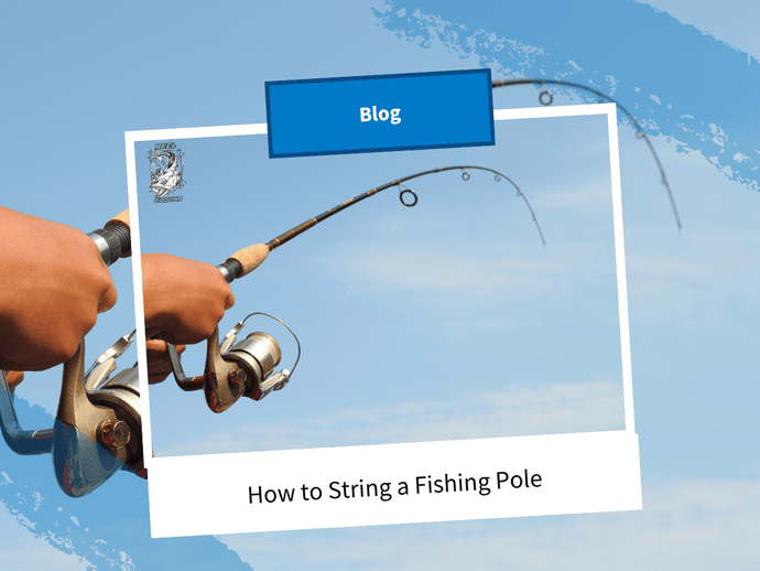How to String a Fishing Pole: Easy Step-by-Step for Beginners
