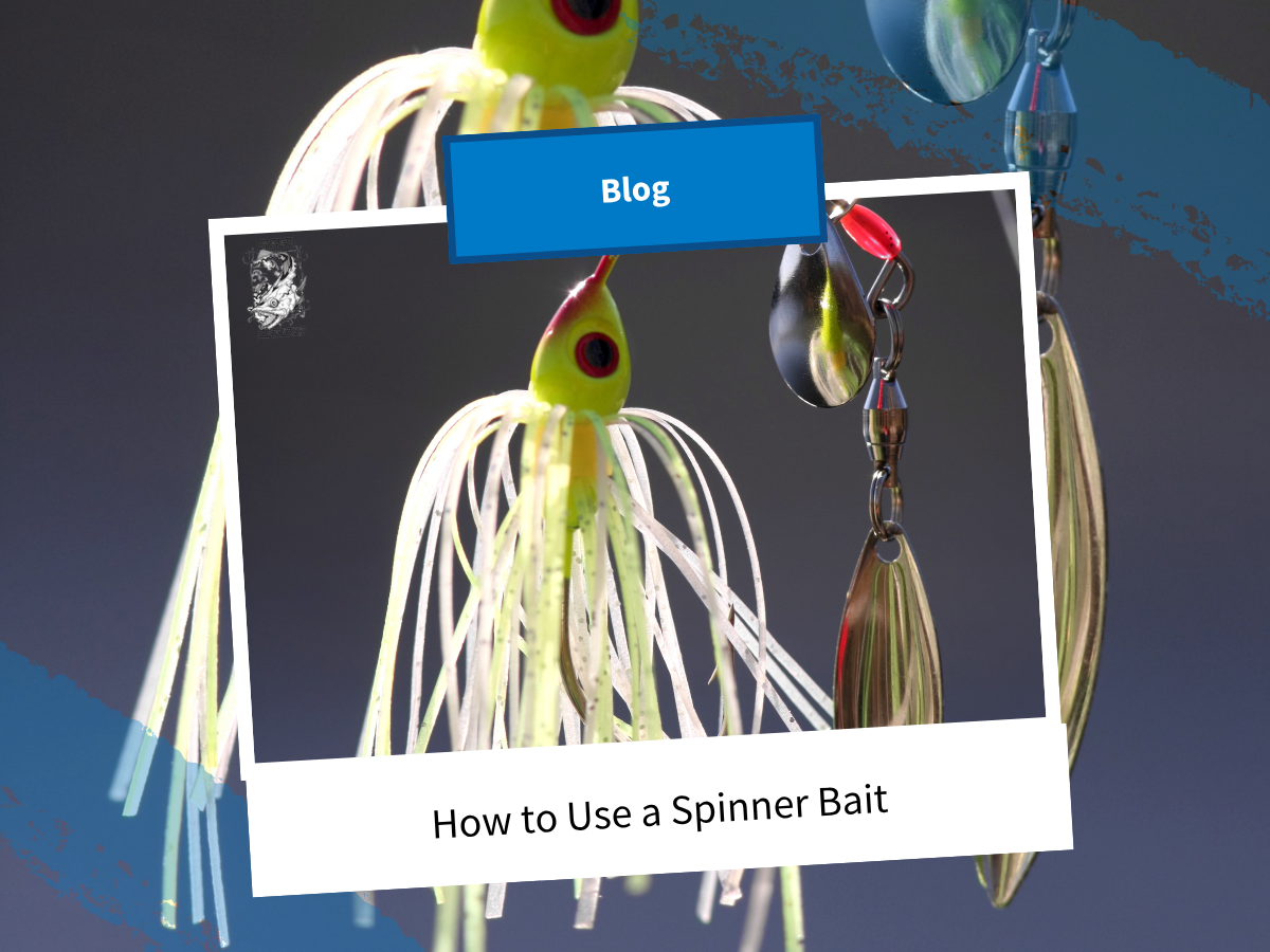 How to Use a Spinnerbait