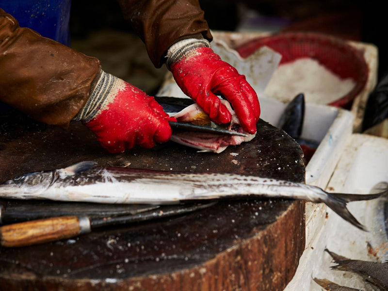 How to Fillet a Fish Like a Pro