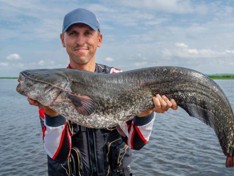Catfish rigs: The best rigs for catfishing
