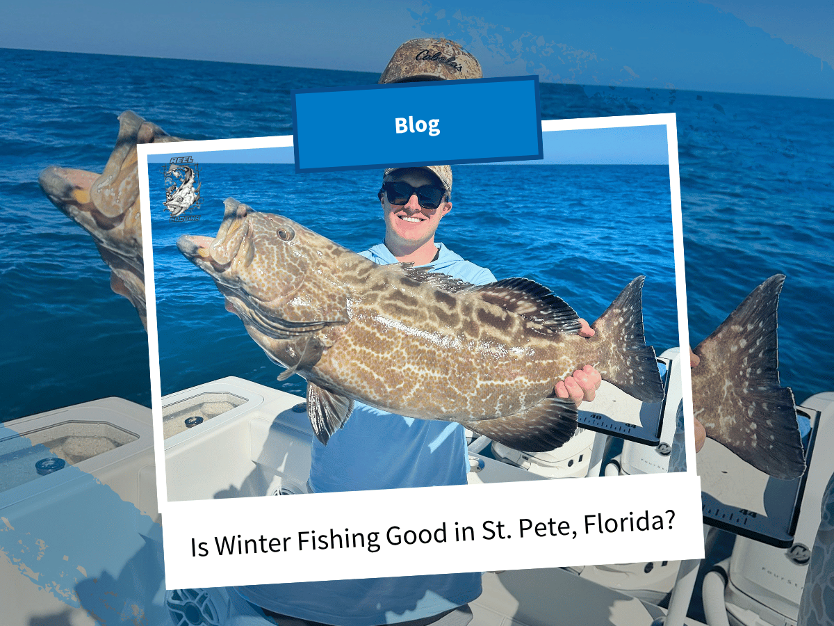 Reel Coquina Fishing Charters