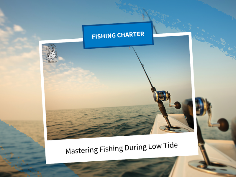 Mastering Fishing During Low Tide