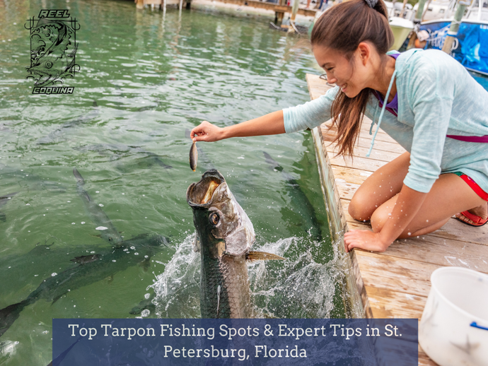 Top Tarpon Fishing Spots & Expert Tips in St. Petersburg, Florida