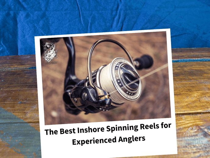 The Best Inshore Spinning Reels for Experienced Anglers