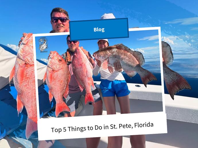 Top 5 Things to Do in St. Pete, Florida