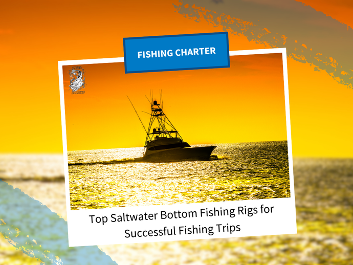 Top Saltwater Bottom Fishing Rigs for Successful Fishing Trips