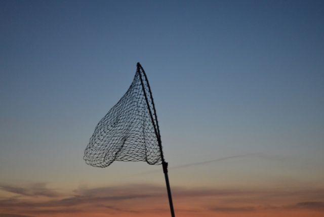 Traditional Fishing Techniques Around the World