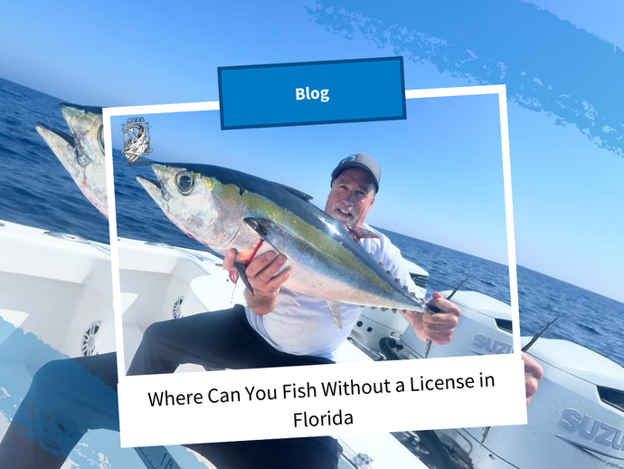 Where Can You Fish Without a License in Florida