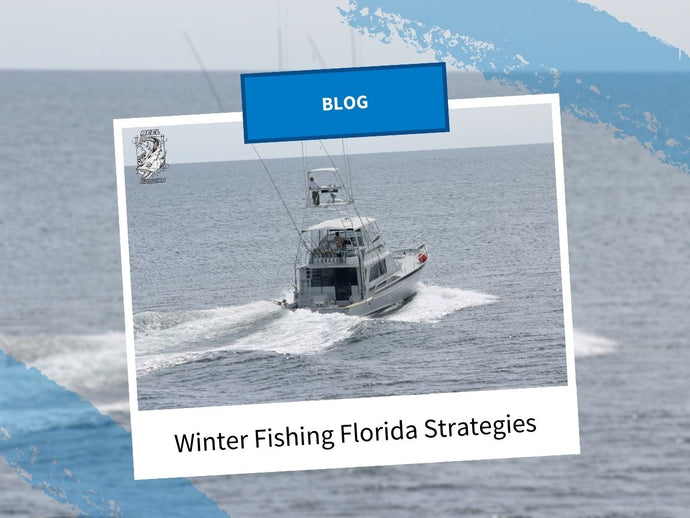 Winter Fishing Florida Strategies