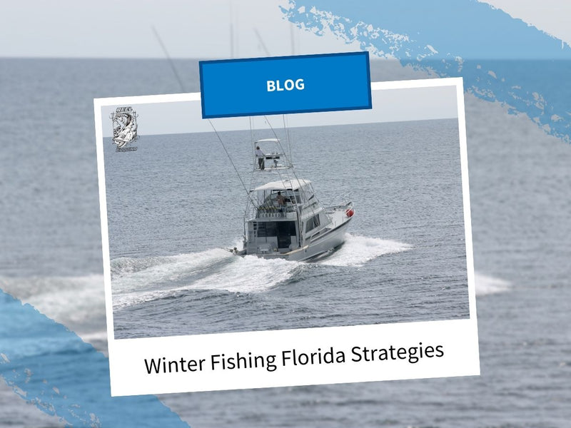 Expert Winter Fishing Strategies for Florida