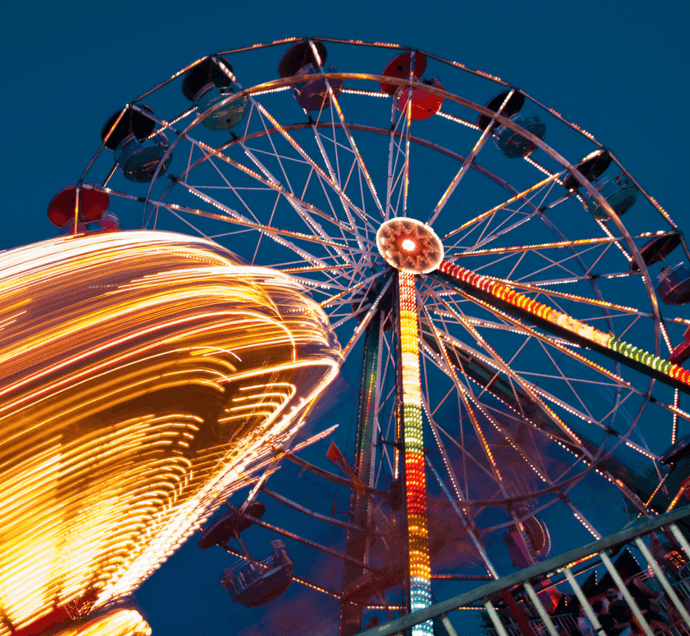 Top Amusement Parks in St. Petersburg, FL