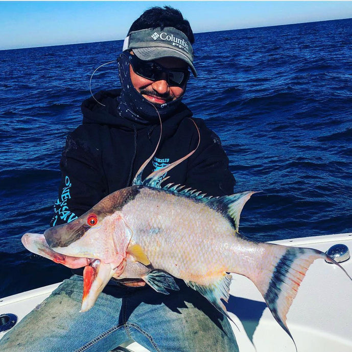 Winter Fishing in Florida and Around St Petersburg