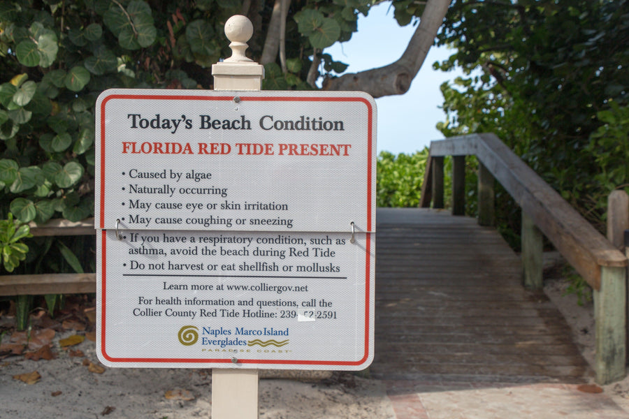 Can you fish during Red Tide in Florida?