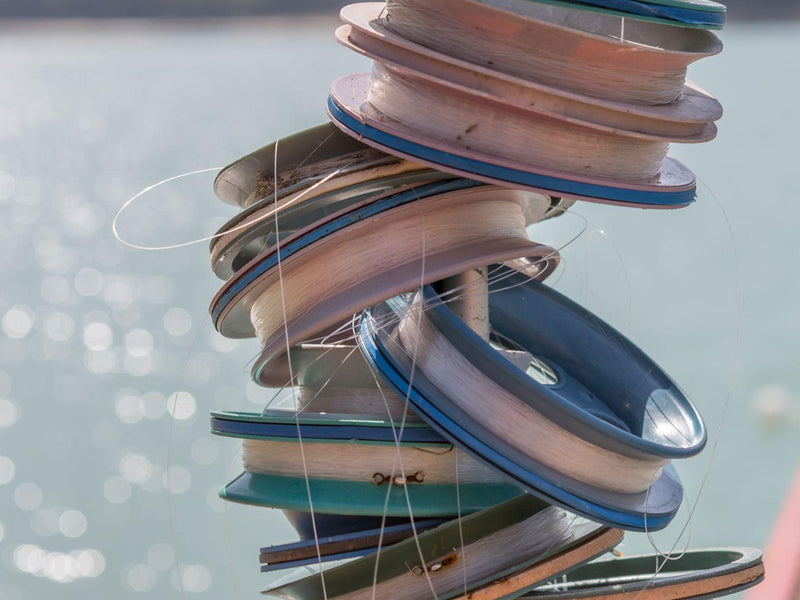 Fluorocarbon vs Mono: What's the Best Leader Material?