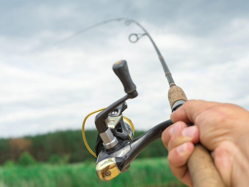 How to Cast a Fishing Rod Like a Pro