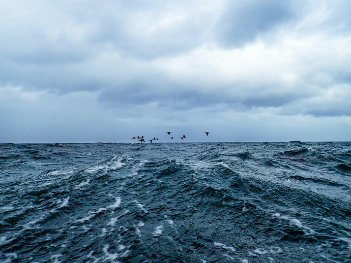 How to Prevent Sea Sickness while Fishing