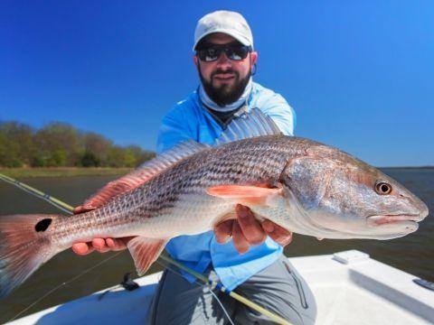 The Best Redfish Lures of 2023