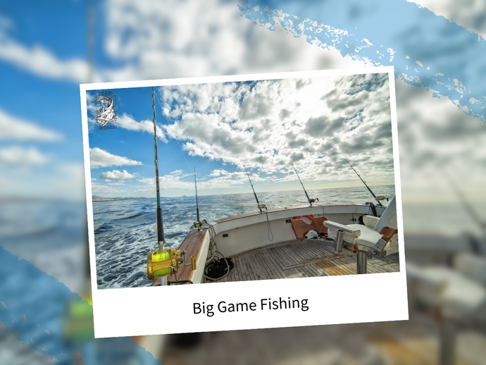 Big Game Fishing