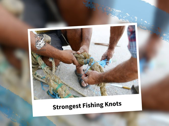 Knot for Beginners: Strongest Fishing Knots