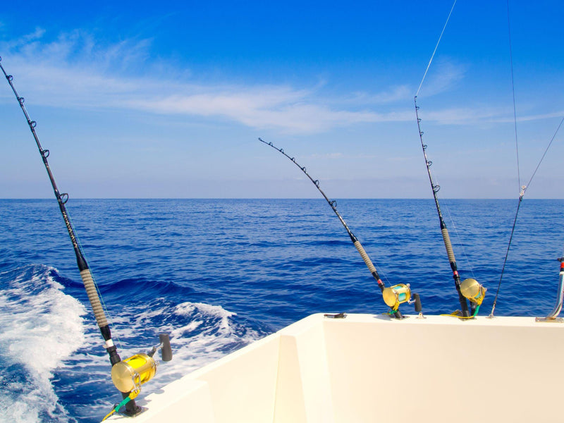 Reel in More Fish with These Top Trolling Speeds Tips and Tricks
