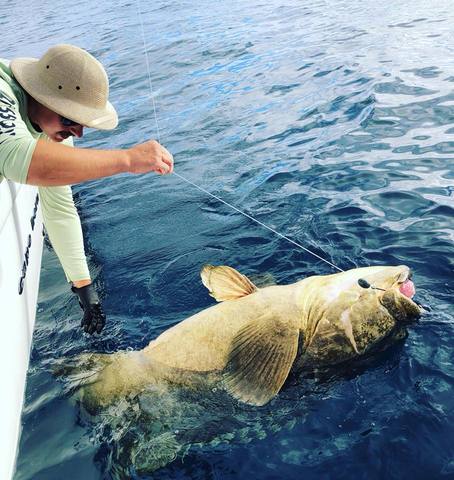 Reel Coquina Fishing Charters